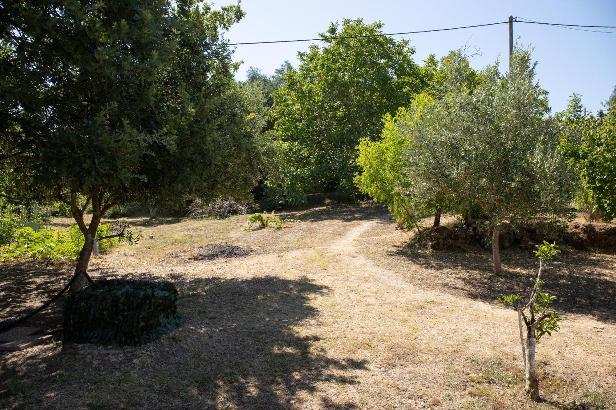 Appartamento Apricus Domum Kato Korakiana Esterno foto