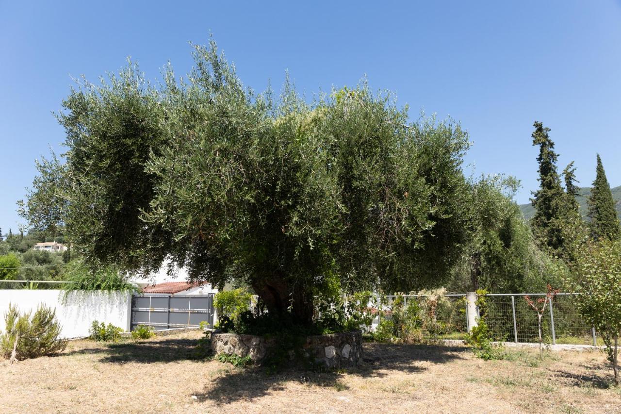 Appartamento Apricus Domum Kato Korakiana Esterno foto